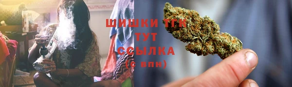 ГАЛЛЮЦИНОГЕННЫЕ ГРИБЫ Абаза