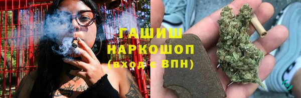 ГАЛЛЮЦИНОГЕННЫЕ ГРИБЫ Абаза