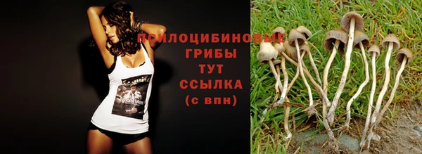 молекула духа Покачи