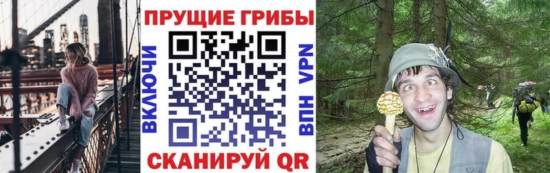 KRAKEN ТОР  Алексин  Галлюциногенные грибы Cubensis  где купить наркотик 
